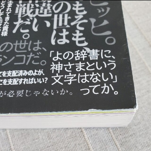 悪魔とのおしゃべり 神さまとのおしゃべり　２冊セット エンタメ/ホビーの本(文学/小説)の商品写真