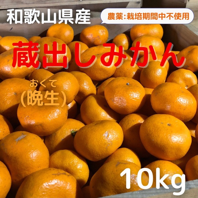 みかん 10kg 蔵出しみかん 和歌山県産 農薬不使用 食品/飲料/酒の食品(フルーツ)の商品写真