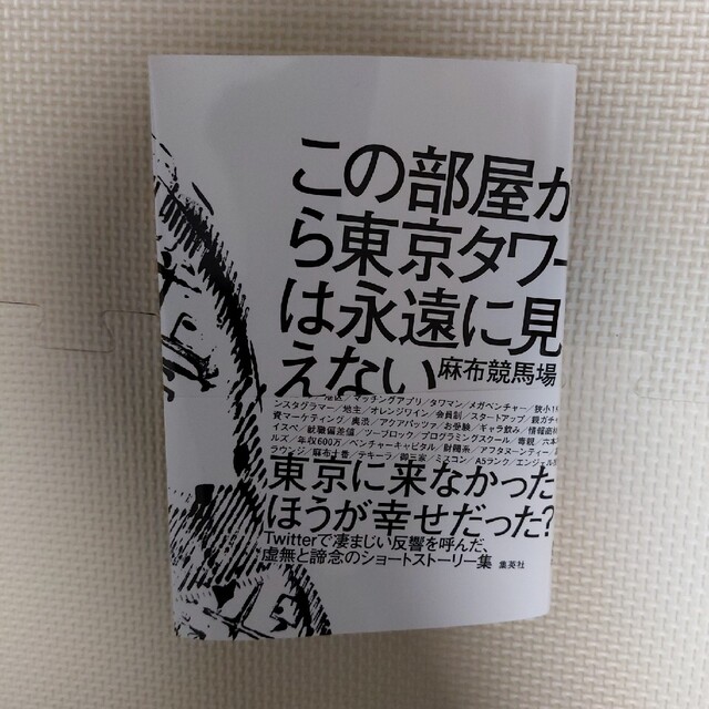 この部屋から東京タワーは永遠に見えない エンタメ/ホビーの本(文学/小説)の商品写真