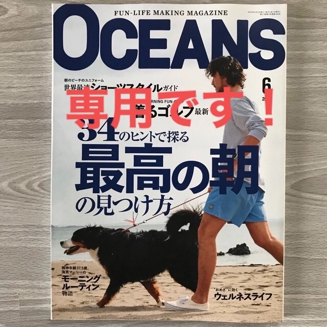 LIGHT HOUSE(ライトハウス)ののん様　専用ページです！(22年4.5.6月号の3冊) エンタメ/ホビーの雑誌(ファッション)の商品写真