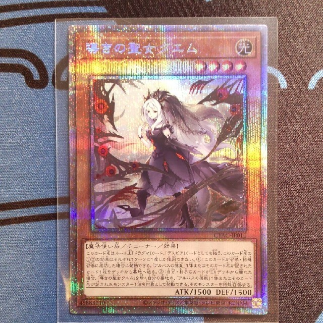 導きの聖女クエム プリシク 【超ポイントバック祭】 4940円引き