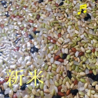 玄米　雑穀　ミックス　5キロ (米/穀物)