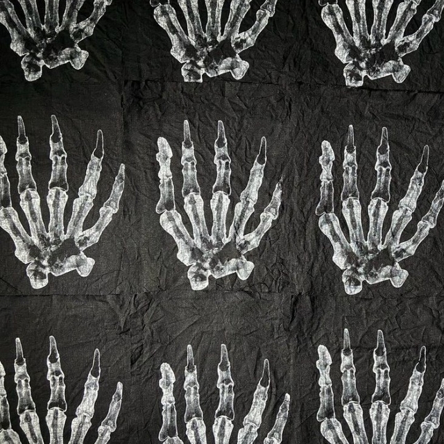 CT Flag EXTINCT THE SERIGRAPHY “X-RAY” エンタメ/ホビーの美術品/アンティーク(版画)の商品写真
