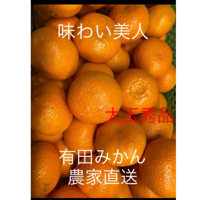 残りわずかです😊有田みかん農家直送🌟味わい美人　大玉秀品箱込み10キロ 食品/飲料/酒の食品(フルーツ)の商品写真