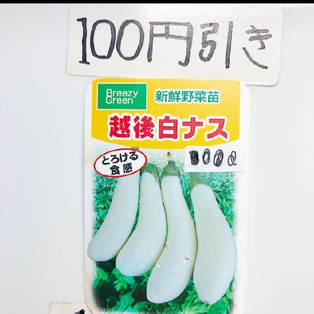 無農薬 越後白ナス しろなす 12粒 食品/飲料/酒の食品(野菜)の商品写真