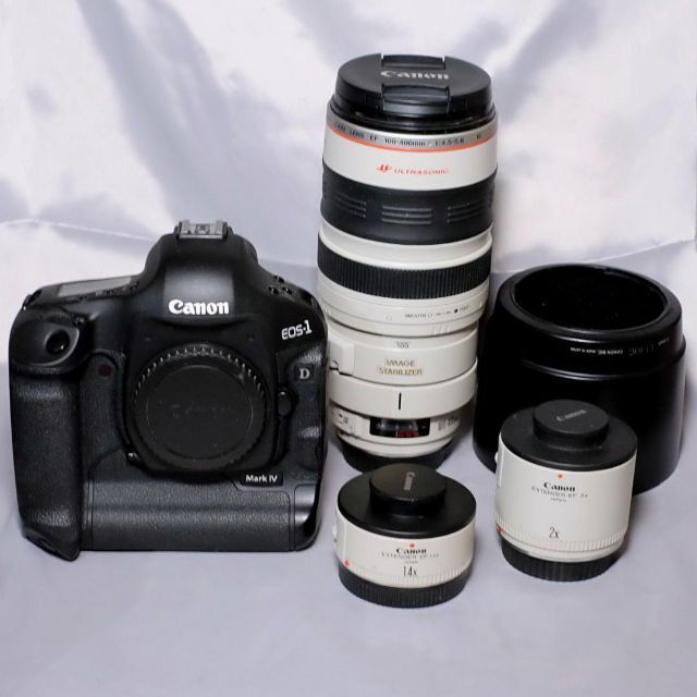【数々のアワードを受賞】 Canon - Canon EOS-1D Mark IV、EF100-400mm、テレコン2本 レンズ(ズーム) 【数々のアワードを受賞】 Canon - Canon EOS-1D Mark IV、EF100-400mm、テレコン2本 レンズ(ズーム)