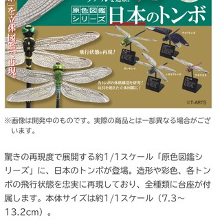 タカラトミーアーツ(T-ARTS)の原色図鑑シリーズ日本のトンボ（ギンヤンマ）(模型/プラモデル)