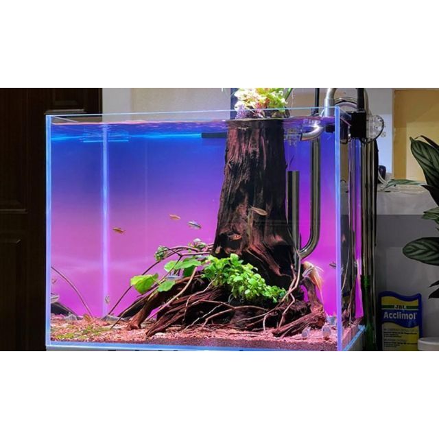 水槽 カラー バックライトスクリーン 90cm×45cm アクアリウム LEDの
