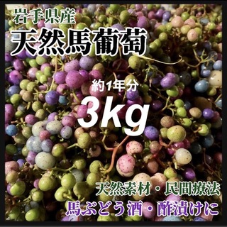 【天然・馬葡萄】 3kg 馬ぶどう　薬膳酒作りに　ぶすの実　天然素材(野菜)