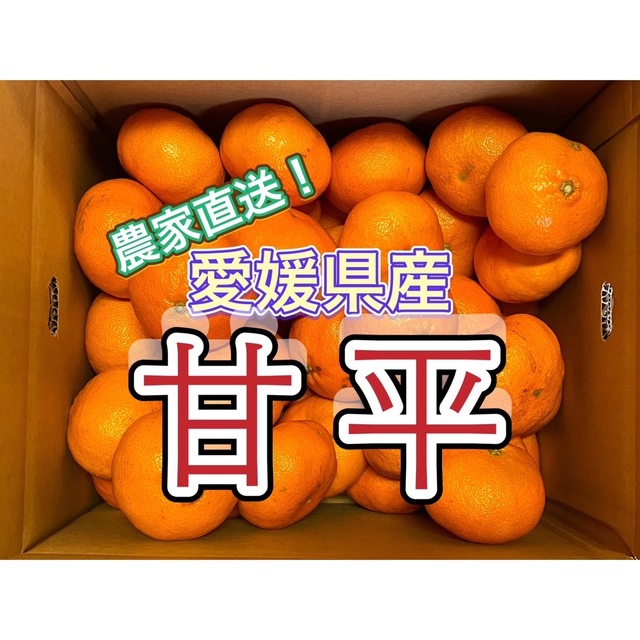 家庭消費向】甘平 愛媛県産 10kg - フルーツ