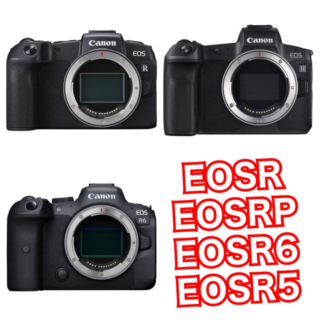 CanonミラーレスEOSRシリーズ用!マクロ変換リング!小さな世界 CanonミラーレスEOSRシリーズ用!マクロ変換リング!小さな世界