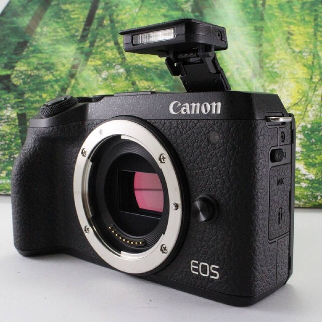 Canon EOS M6 ミラーレス aps-c