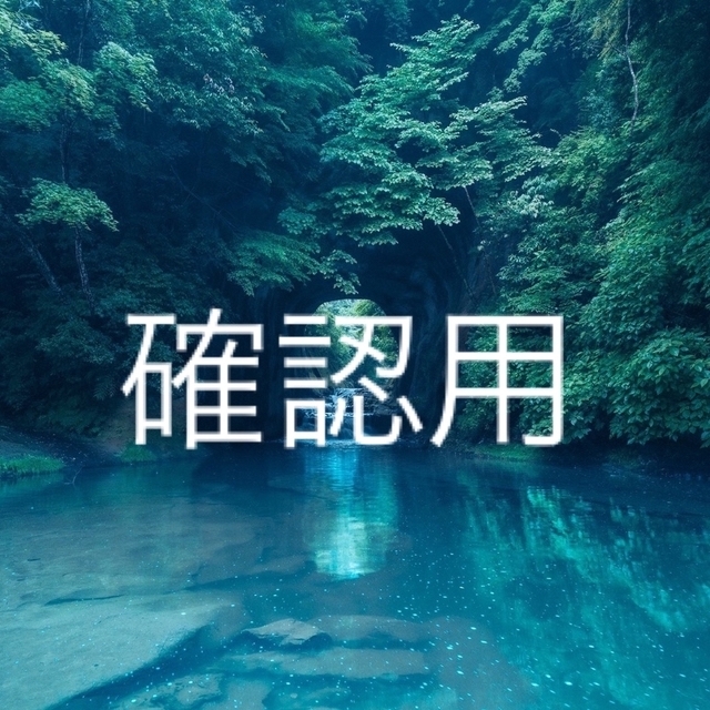 最安 ●確認用● 購入しないで下さい。 ピアス 最安 ●確認用● 購入しないで下さい。 ピアス
