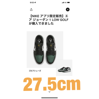 ナイキ(NIKE)のNike Air Jordan 1 Low Golf "Noble Green"(スニーカー)