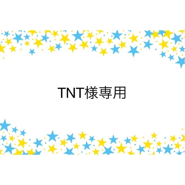 TNT様専用 ハギーワギー ランチョンマット②枚の通販 by のりまき（27