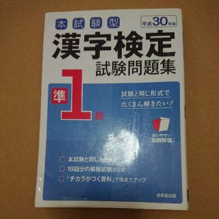 本試験型 漢字検定試験問題集 準1級 平成30年版(資格/検定)