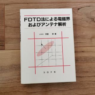 ＦＤＴＤ法による電磁界およびアンテナ解析(科学/技術)