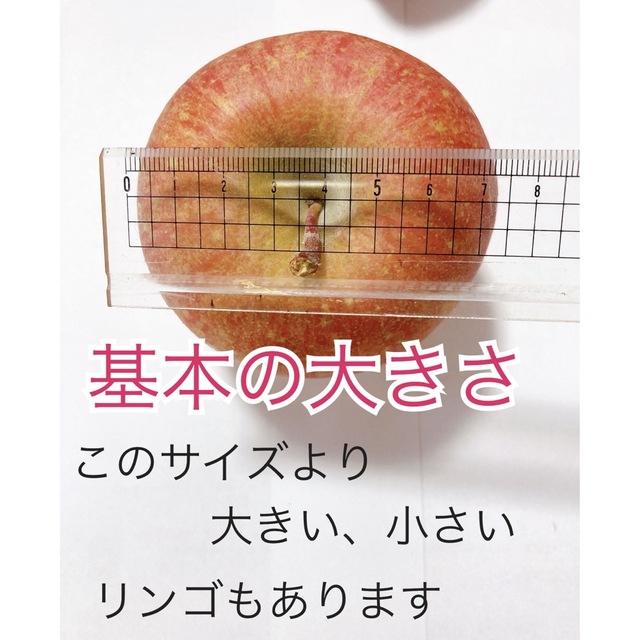 （少し小ぶり）2月8日発送。会津の樹上葉取らず家庭用リンゴ約40個入り 食品/飲料/酒の食品(フルーツ)の商品写真