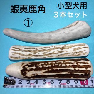 鹿の角　犬用品　小型犬用3本(犬)