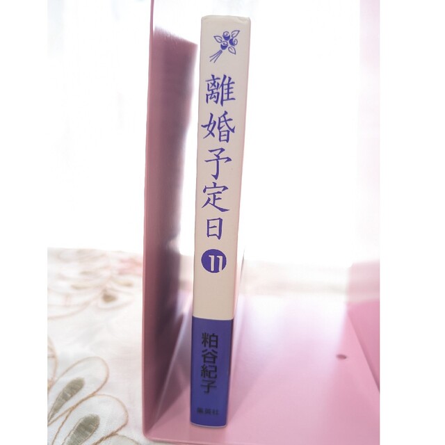 集英社(シュウエイシャ)の初版 帯付 美品 離婚予定日 １１ 即納 11巻 最終巻 粕谷紀子 漫画 エンタメ/ホビーの漫画(その他)の商品写真