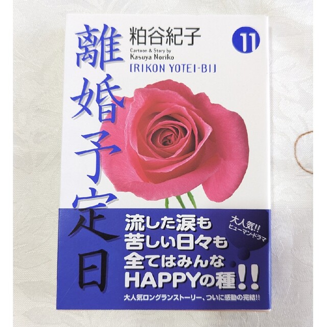 集英社(シュウエイシャ)の初版 帯付 美品 離婚予定日 １１ 即納 11巻 最終巻 粕谷紀子 漫画 エンタメ/ホビーの漫画(その他)の商品写真