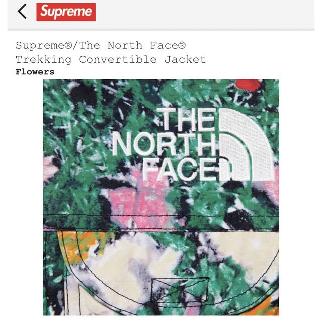 Supreme The North Face Trekking Jacket