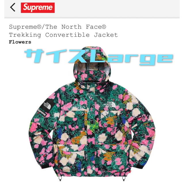 Supreme The North Face Trekking Jacket