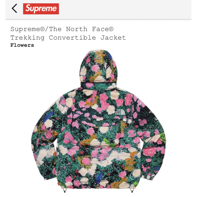 Supreme The North Face Trekking Jacket