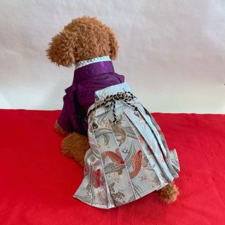 犬の袴✨犬用本格着物&袴セット 京都西陣織金襴 鯉 M わんこ着物 犬服(犬)
