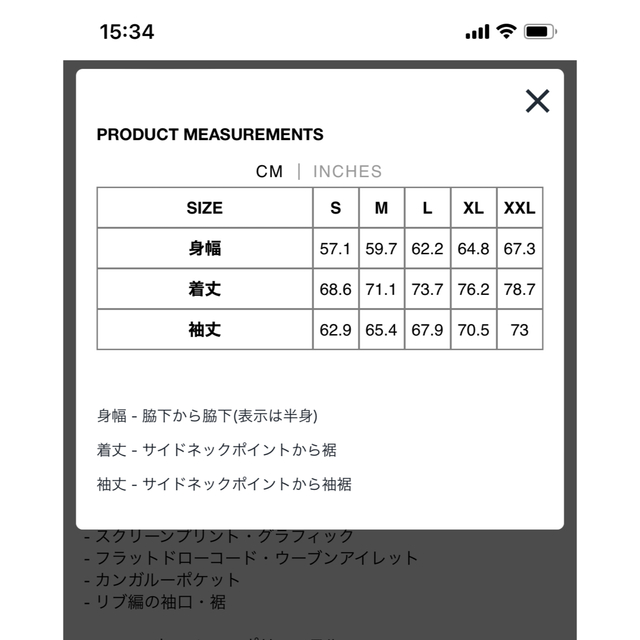 ❗️期間限定SALE❗️ステューシー ベーシック プルオーバーフーディ ブラックL