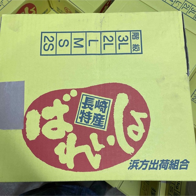 【送料込】大特価☆無農薬！じゃがいも10kg 食品/飲料/酒の食品(野菜)の商品写真