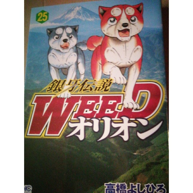 銀牙伝説ＷＥＥＤオリオン ２５ エンタメ/ホビーの漫画(青年漫画)の商品写真