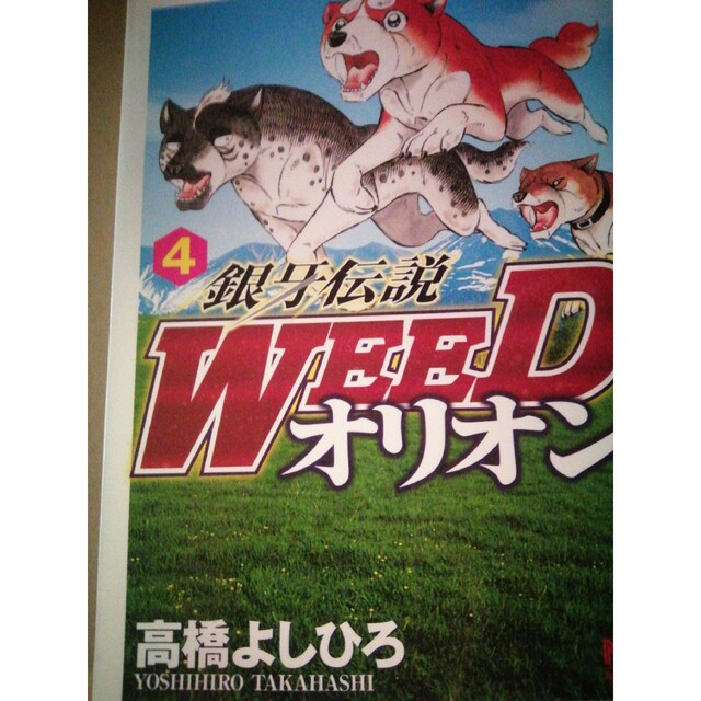 銀牙伝説ＷＥＥＤオリオン ４ エンタメ/ホビーの漫画(青年漫画)の商品写真