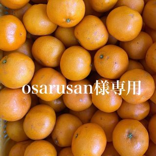 osarusan様専用(フルーツ)