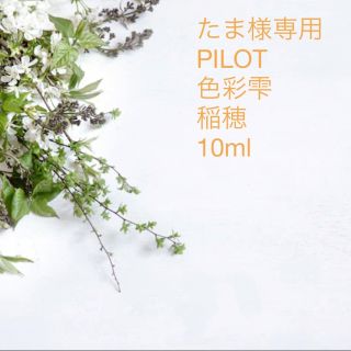 パイロット(PILOT)のたま様専用(ペン/マーカー)