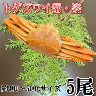 【お歳暮】ボイルトゲズワイ蟹　5尾  約400?500gサイズ 冷凍(魚介)