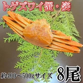 【お歳暮】ボイルトゲズワイ蟹　8尾  約400?500gサイズ 冷凍(魚介)