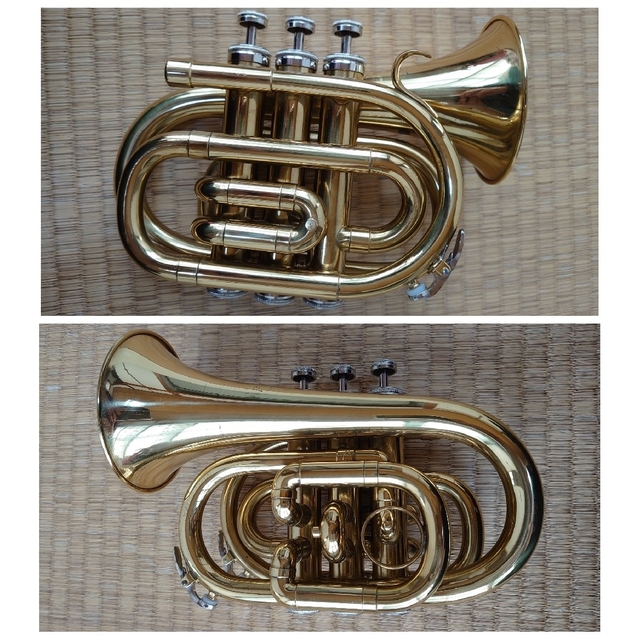 J.Michael ポケットトランペット 楽器の管楽器(トランペット)の商品写真