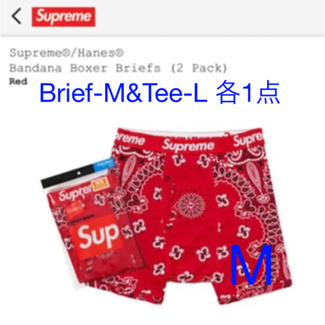 Supreme Hanes Bandana Tees Boxer BriefsTシャツ/カットソー(半袖/袖なし)