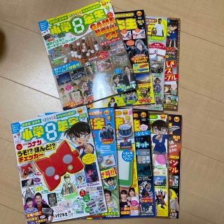 小学8年生　10冊(絵本/児童書)