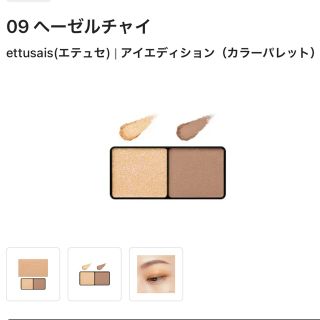 エテュセ(ettusais)の限定 完売 ettusais エテュセ アイエディション カラーパレット 09(アイシャドウ)