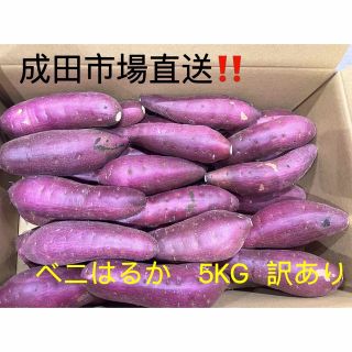 さつまいも 紅はるか B品 5Kg 訳あり 焼き芋 千葉産 業務用 家庭用(野菜)