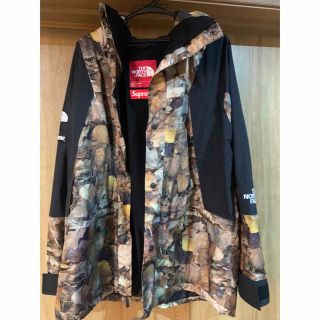 シュプリーム(Supreme)のSupreme / The North Face Jacket(マウンテンパーカー)