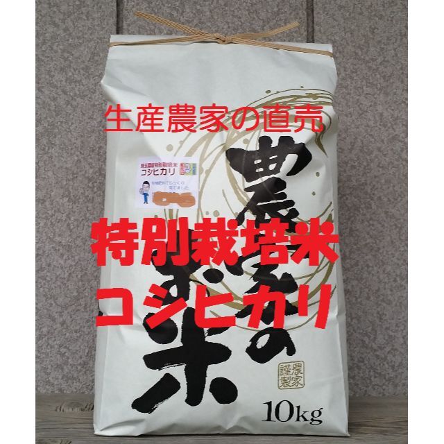 ☆新米☆[白米]特別栽培米コシヒカリ１０ｋｇ有機肥料減農薬栽培　米/穀物