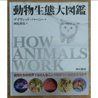 動物生態大図鑑：動物たちの世界ではどんなことが起きているのだろうか？(絵本/児童書)