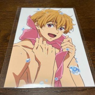 Free! ポストカード 葉月渚⑥(その他)