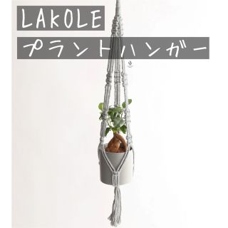 ラコレ(LAKOLE)のLAKOLE プラントハンガー(その他)