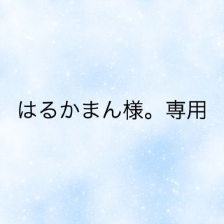 はるかまん様。専用(その他)