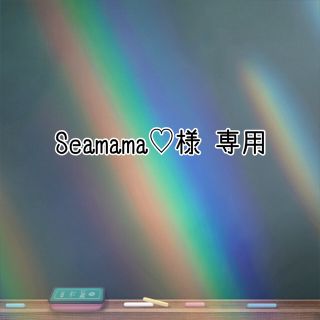 ポケモン(ポケモン)の◆ Seamama様 専用 ◆ シャワーズ　シャワーズキーホルダー(その他)