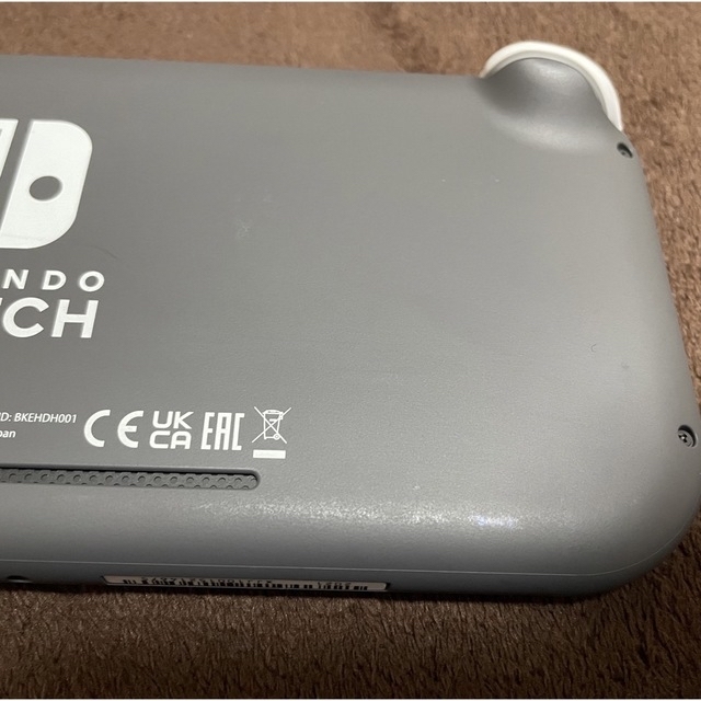 Nintendo Switch Liteグレー　モンスターハンターRISE